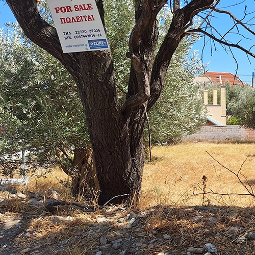Land for sale on Samos